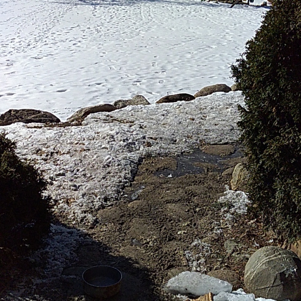 Meet your Posher, Dee